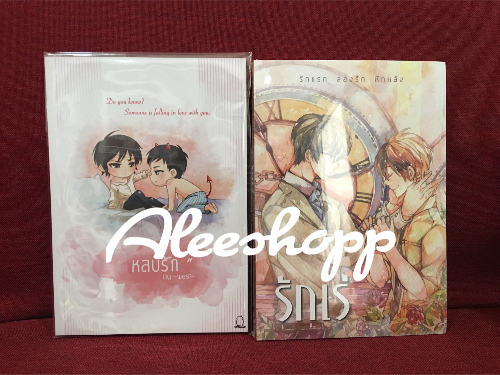 นิยาย รักเร่ + หลบรัก มือสอง