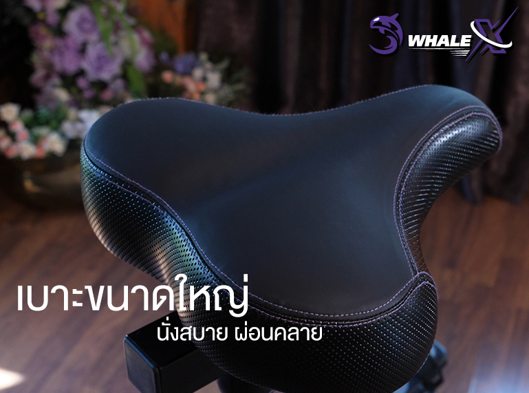 จักรยานนั่งปั่นVTech รุ่น WHALE-XU