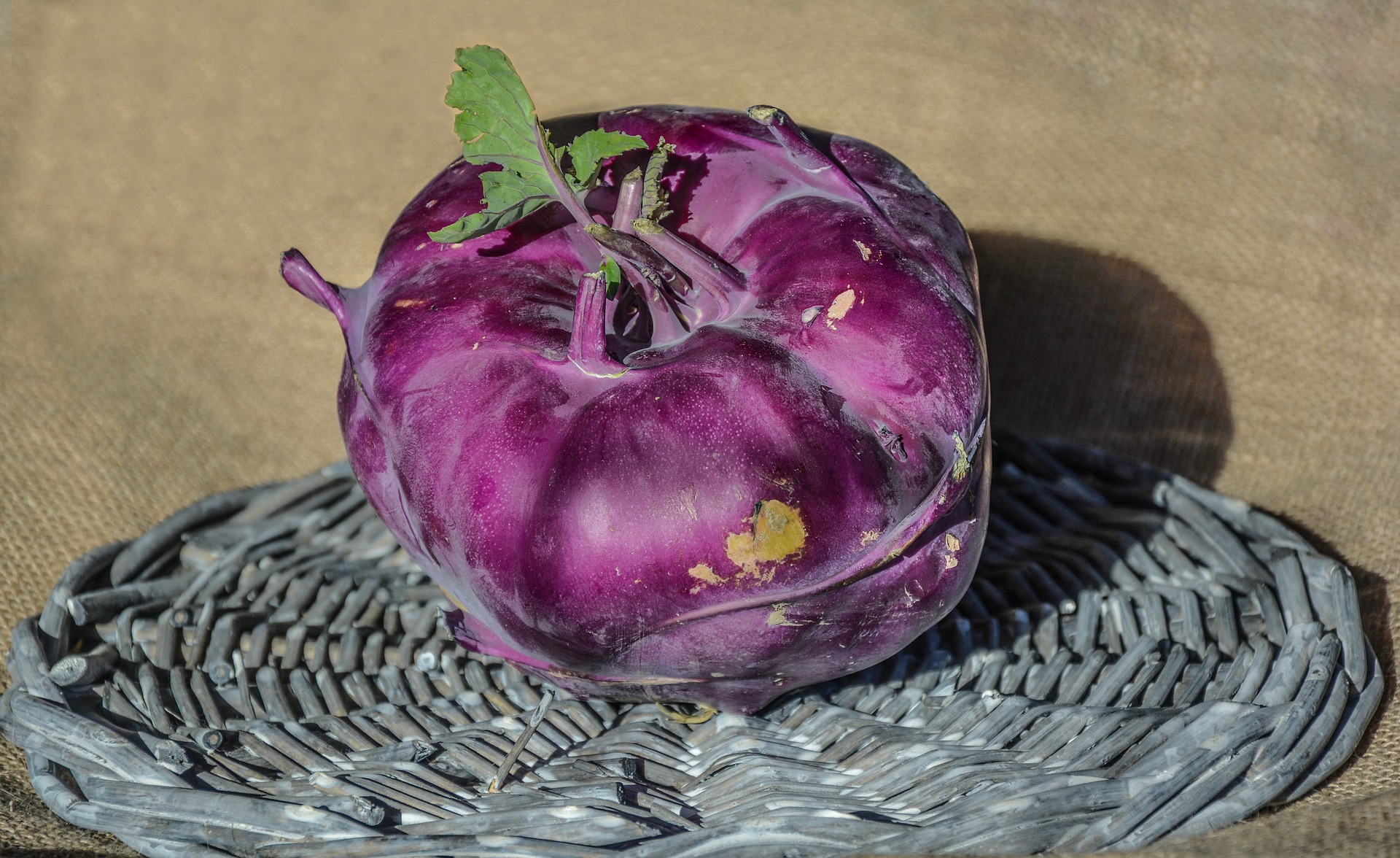 กะหล่ำปมสีม่วง - Purple Kohlrabi