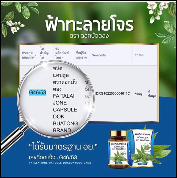 ฟ้าทะลายโจร ตราดอกบัวตอง
