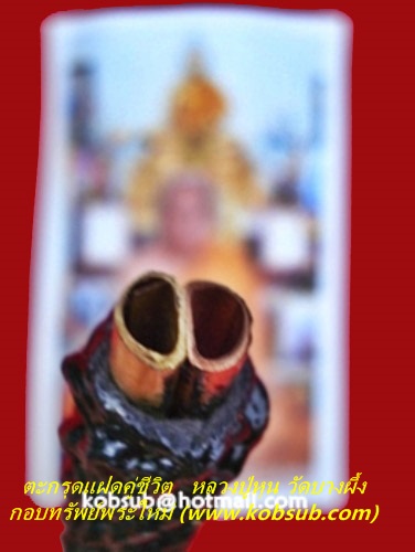 ตะกรุดแฝดคู่ชีวิต หลวงปู่หุน วัดบางผึ้ง
