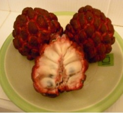 น้อยหน่าฝ้ายครั่ง - Fai Krang Sugar apple