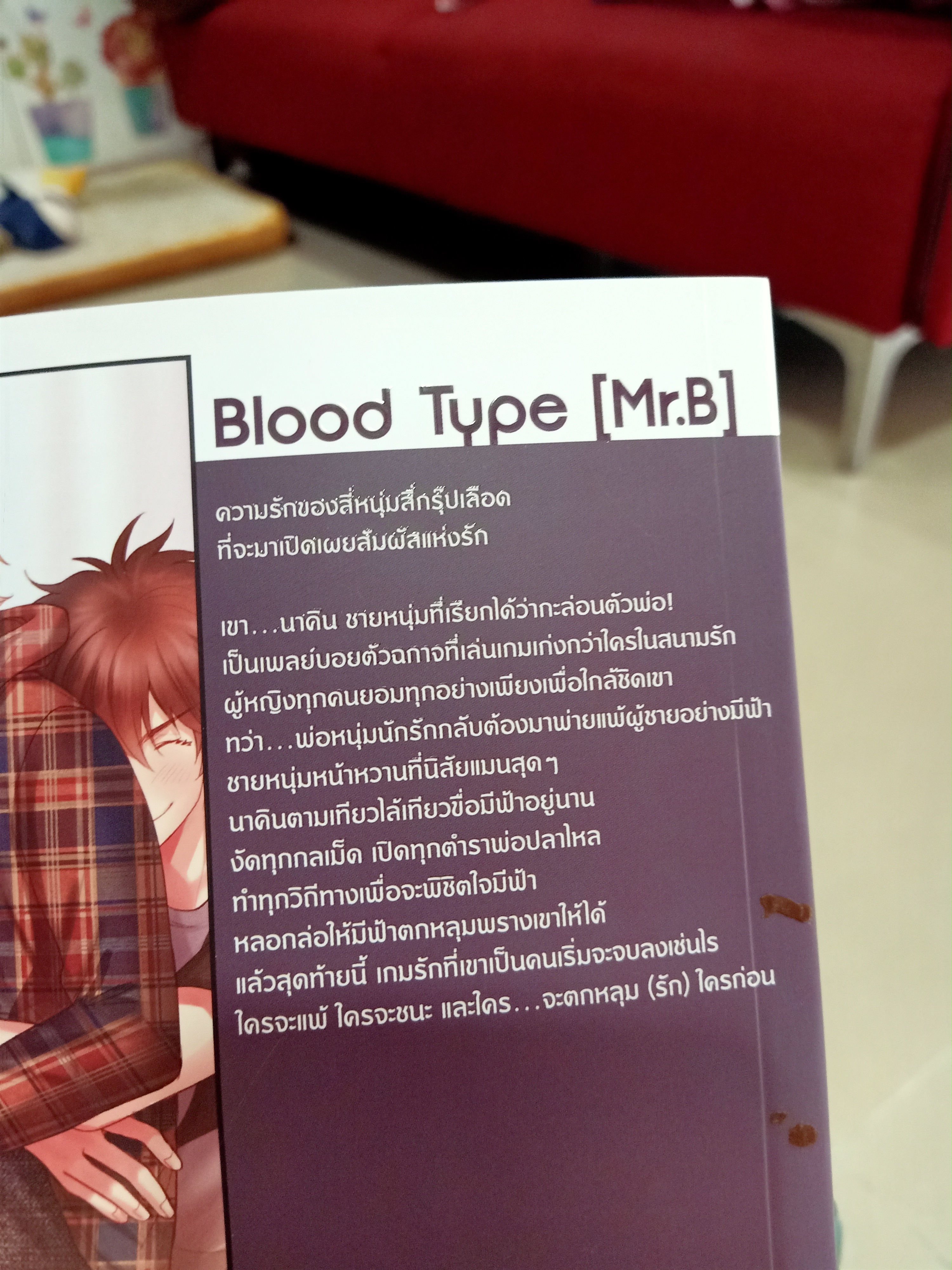 นิยายแต่ง บุกรุกรักก่อการหัวใจ + จุมพิตร้ายนายพยศรัก + โปสเตอร์