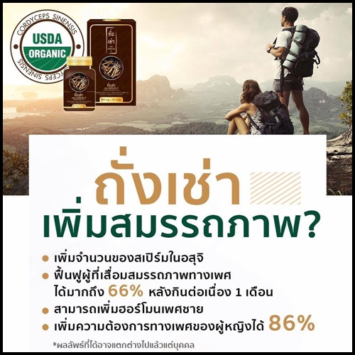 ถั่งเช่า ผสมมัลติวิตามิน บี Cordyceps Plus Multi Vitamin B