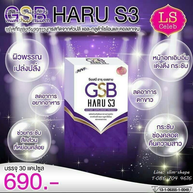 จีเอสบี ฮารุ เอสสาม GSB Haru S3