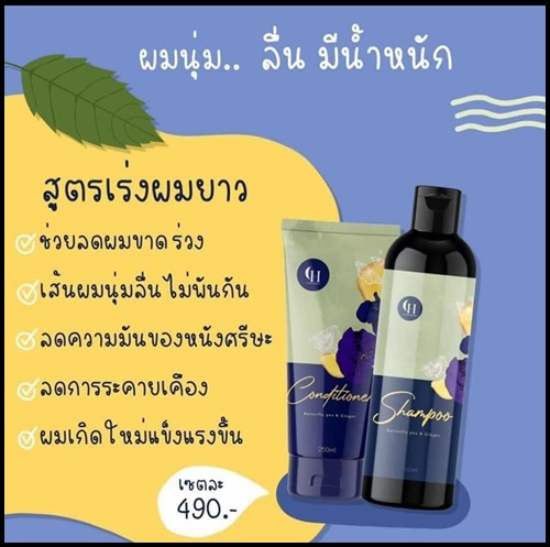 ชรแฮร์เฮิร์บ แชมพูสมุนไพรสดอัญชันขิง Chorn Hairherb เร่งยาว ลดการหลุดร่วง (1 แถม 1 ) ส่งฟรี
