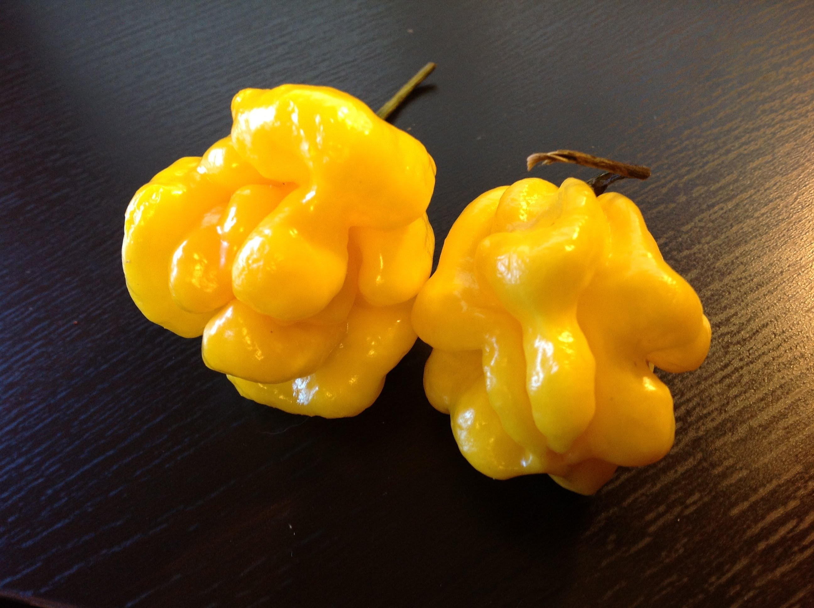พริกจาไมก้าสก็อตบอนเนทสีเหลือง - Yellow Jamaican Scotch Bonnet Pepper