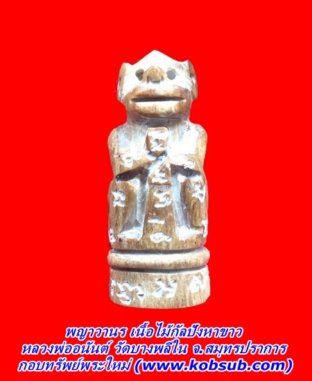 พญาวานร เนื้อไม้กัลปังหาขาว หลวงพ่ออนันต์ วัดบางพลีใน