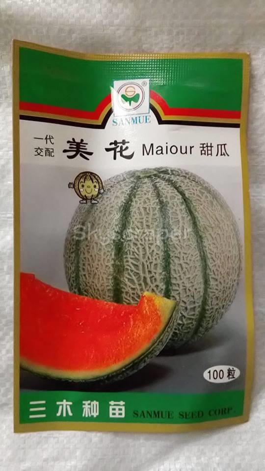 เมล่อนเหมยฮัว F1 - Maiour Melon F1
