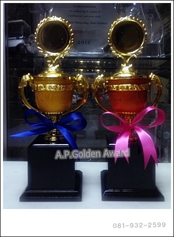 ถ้วยรางวัลพลาสติก เสาเดี่ยว