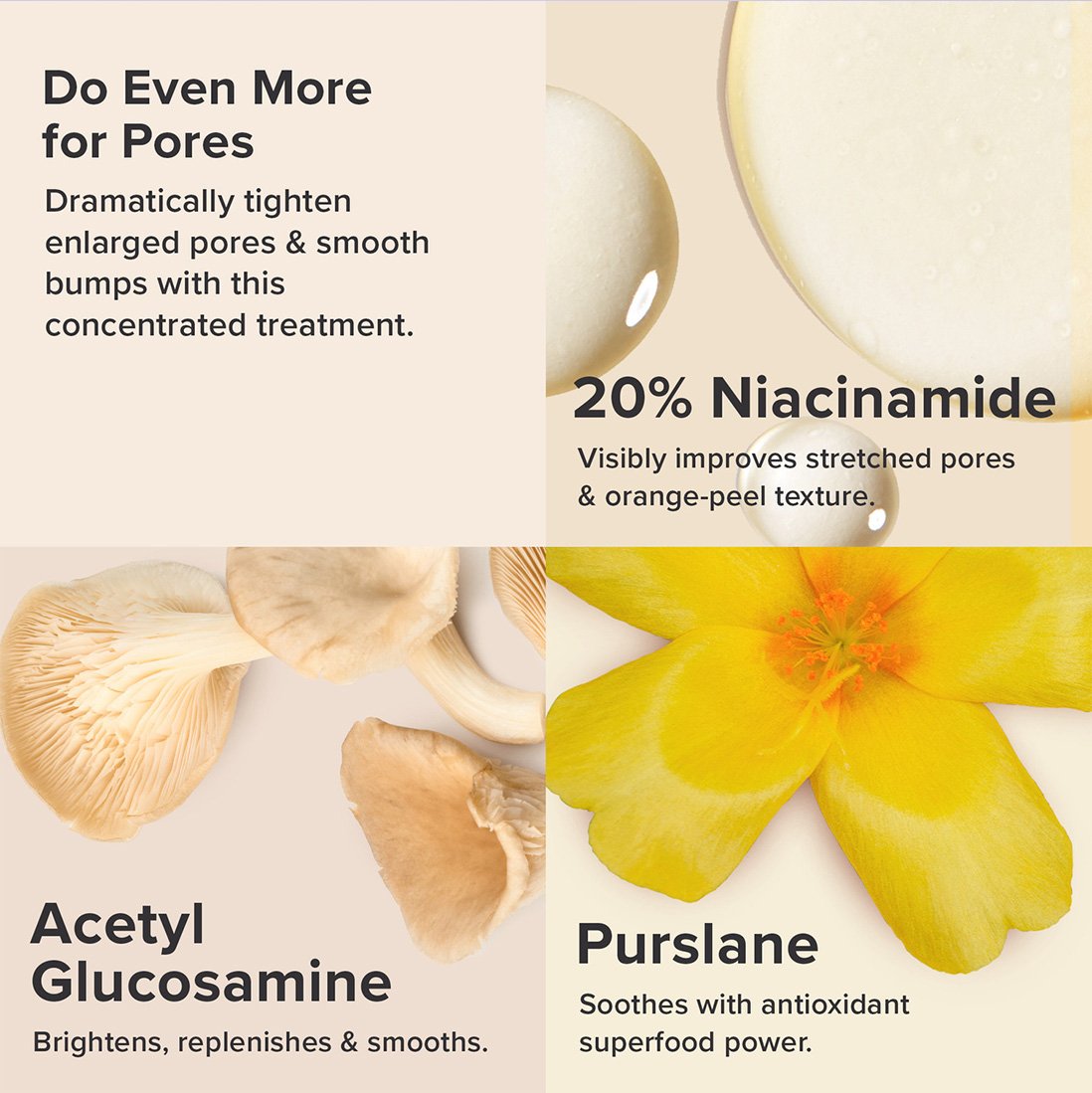 PAULA'S CHOICE :: Clinical Niacinamide 20% Treatment วิตามินB3 เข้มข้นสูง เซรั่มทรงประสิทธิภาพช่วยให้ผิวกระชับขึ้น และรูขุมขนเล็กลง ช่วยปรับสภาพผิวให้เรียบเนียนขึ้น เนื่องจากอายุมากขึ้น หรือการทำลายของแสงแดด