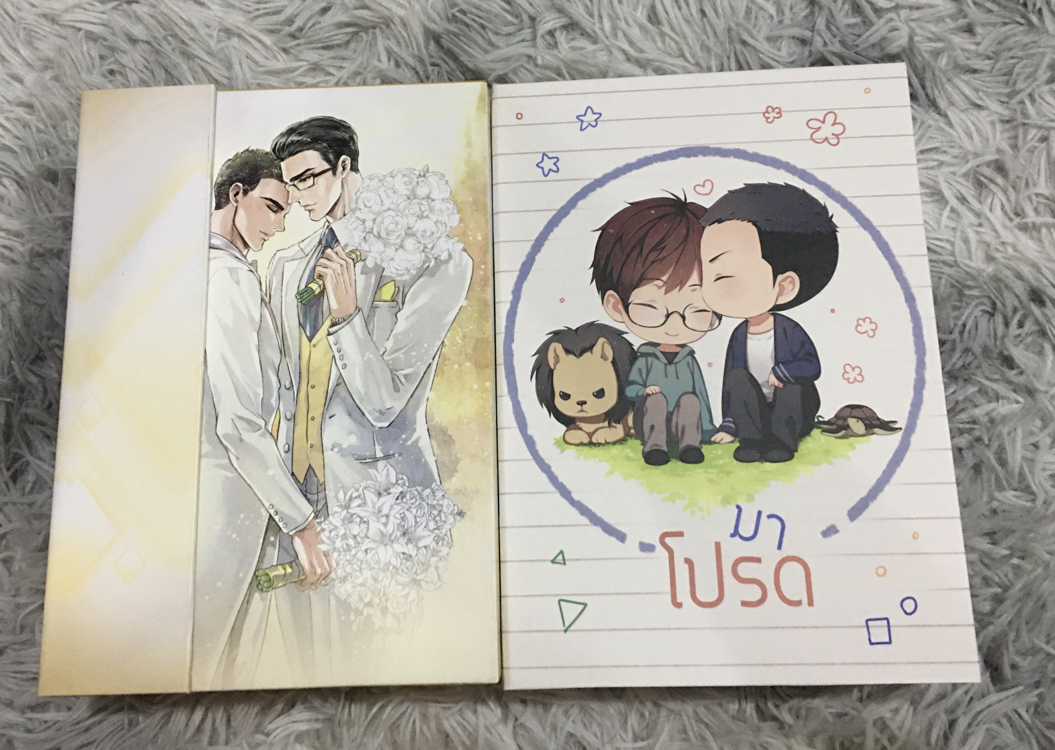 Boxset นิยายแต่ง มาโปรด + สเป + boxset นิยายแต่ง รักเสมอ รอบจอง