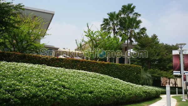 ระบบสปริงเกอร์นันทวัน ปิ่นเกล้า-ราชพฤกษ์