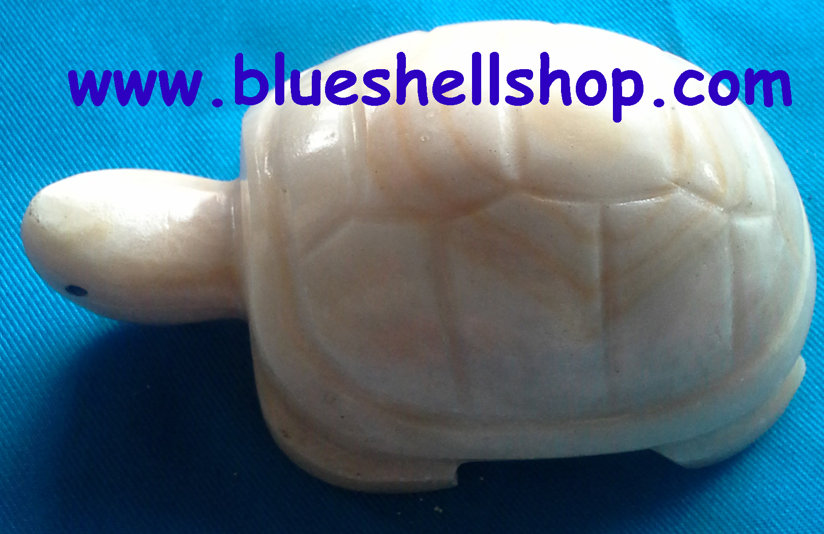 เต่าหินอ่อน