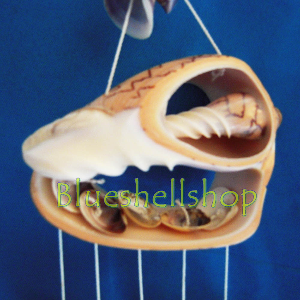 โมบายหอยโนรีห้าสาย