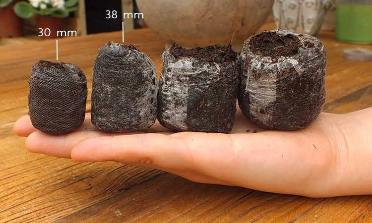 พีทมอสก้อนเพาะเมล็ด - Jiffy Peat Pellet