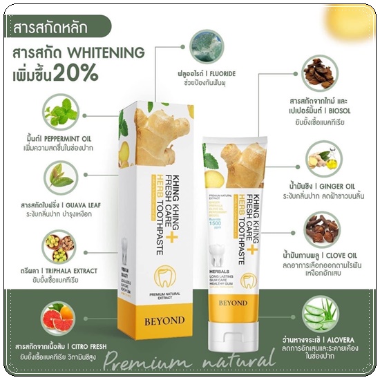 ยาสีฟันขิงขิง Khing Khing Fresh Care Herb Toothpaste ยาสีฟันบียอน (1แถม1)