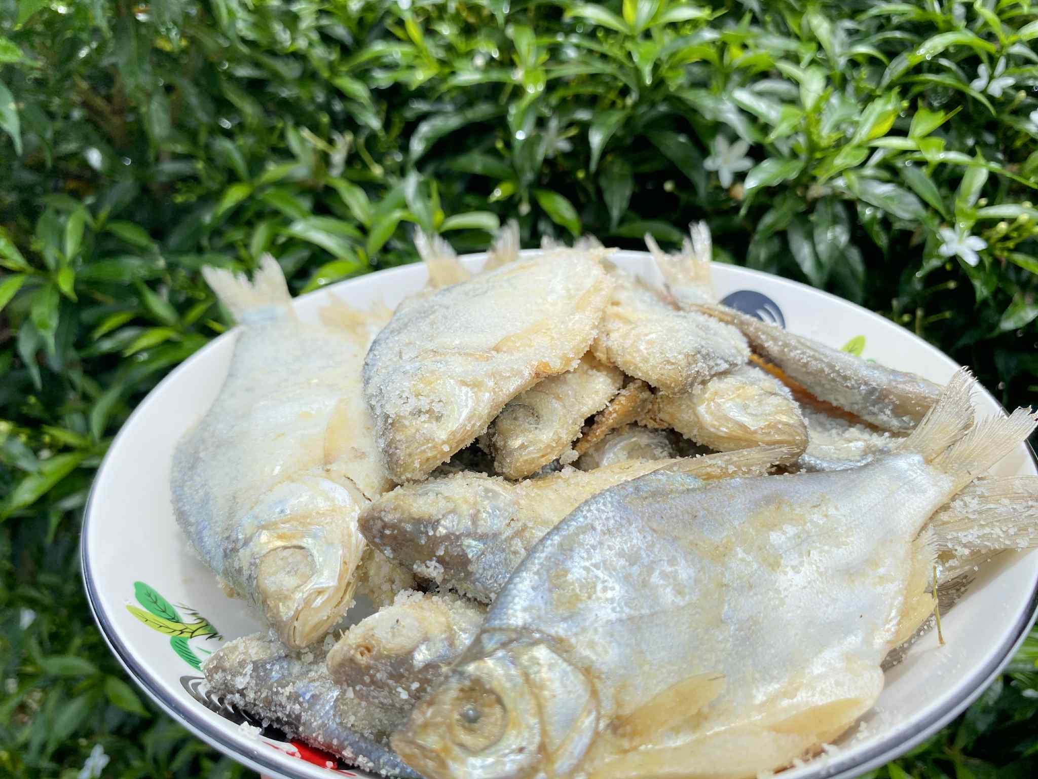 ปลาหมักเกลือ ปลาเน่า น้ำหนัก 500 กรัม ပႃႇၸႃႇ - ပႃႇၸႃႇၶမ်းၵႅတ်းသေ ปลาหมักสูตรไทยใหญ่ Fermented Fish - Burmese Style Pickled Fish ปลาเน่า ปลาเน่าเกเซ นำไปประกอบอาหารได้หลากหลายชนิด รับประกันความอร่อย
