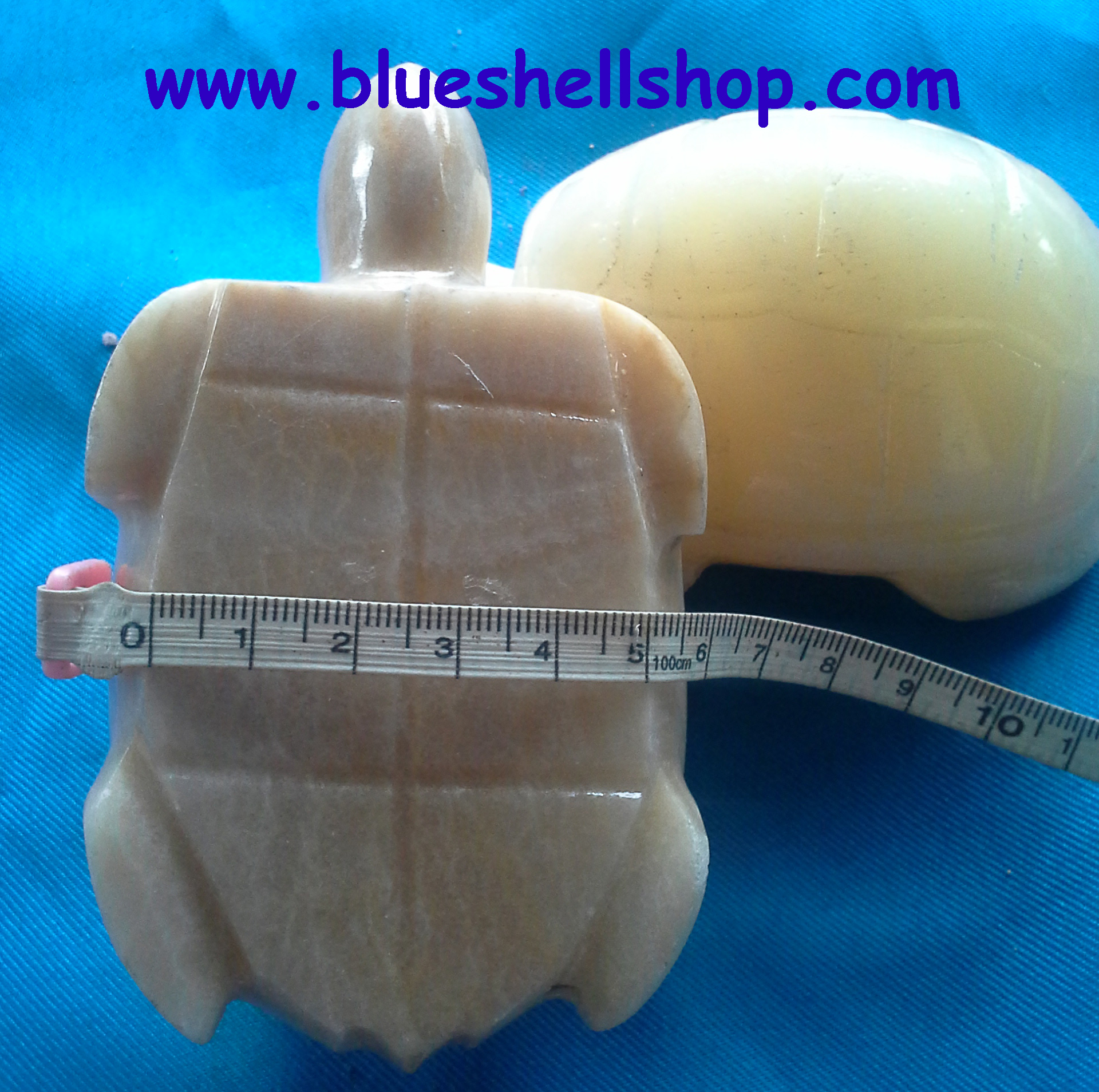 เต่าหินอ่อน