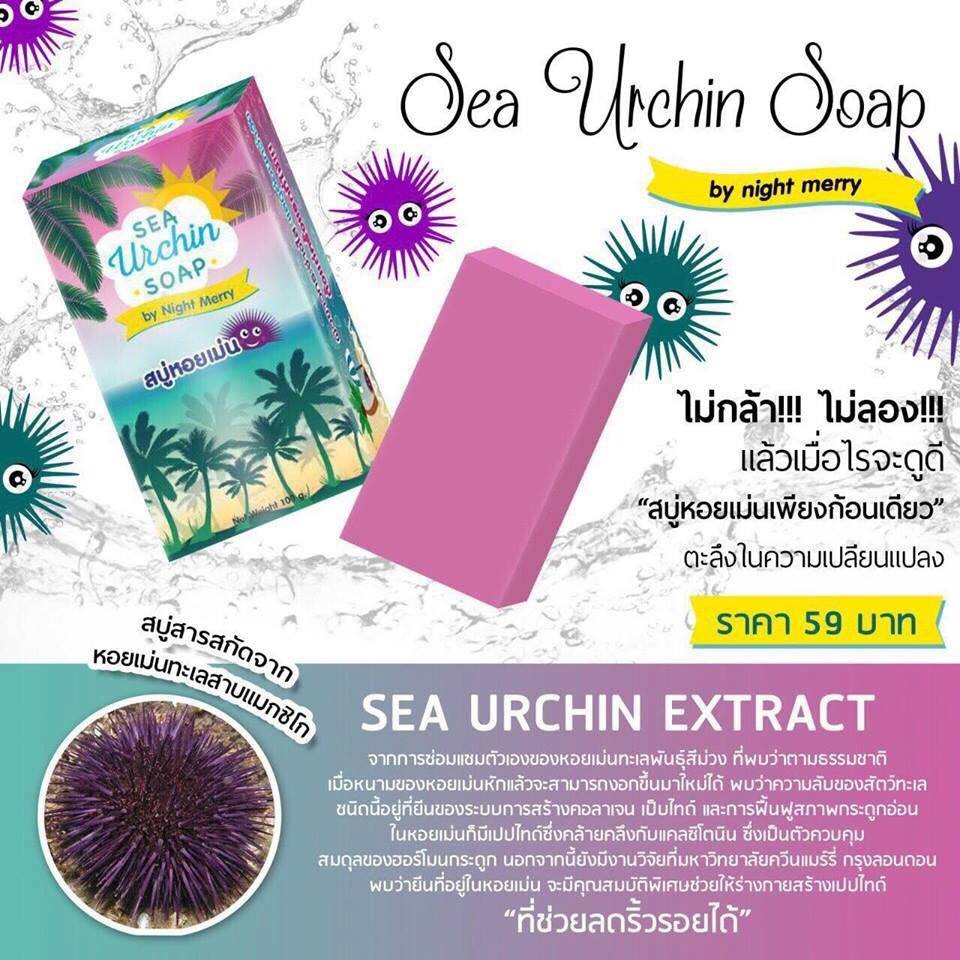 สบู่หอยเม่น (Sea Urchin Soap By Night Merry)
