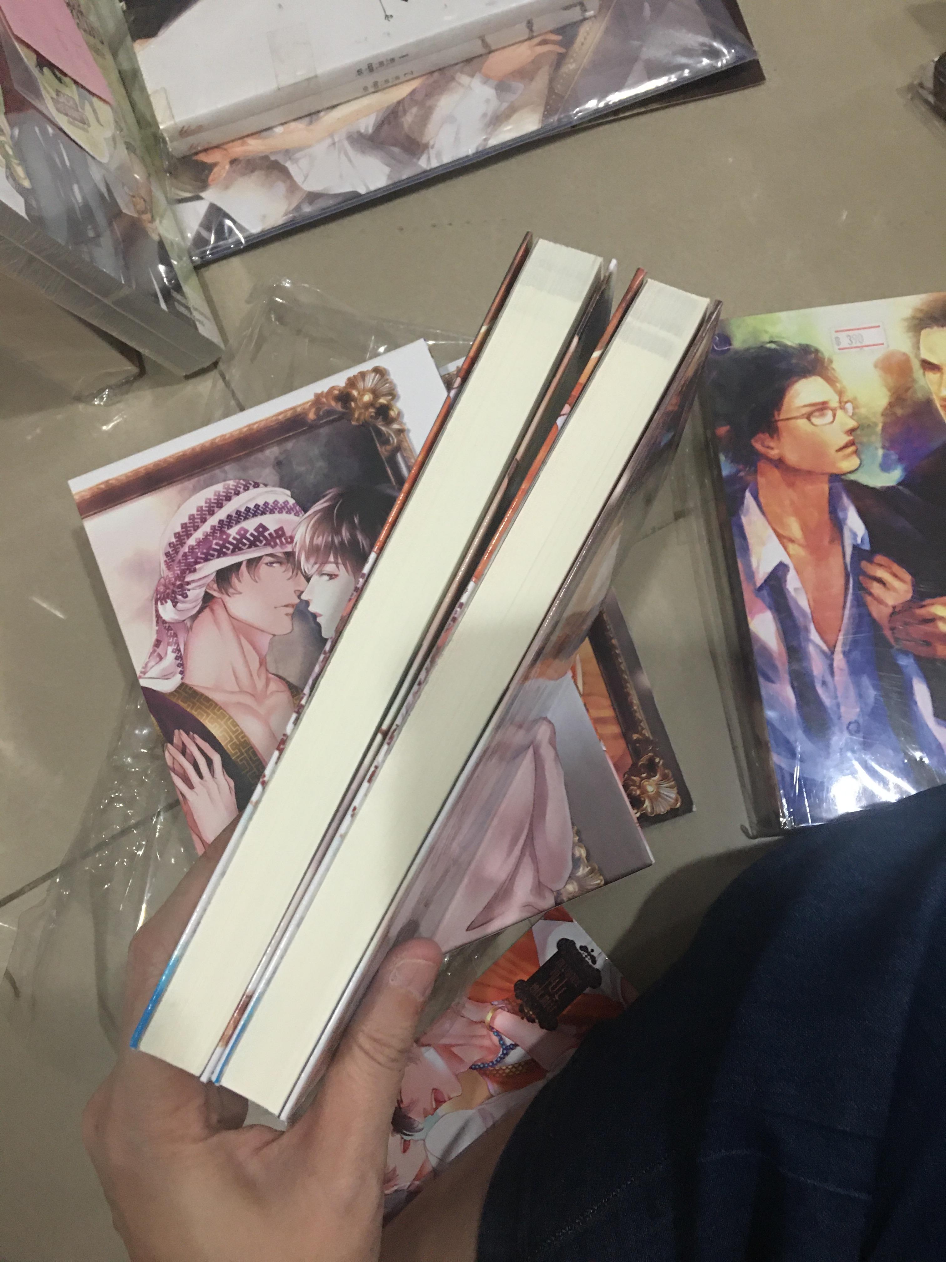 นิยาย ภาพวาดรักในรอยทราย + ดวงใจเจ้าเพลิง