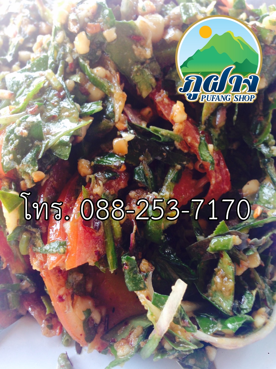 ใบชาสด ขนาด 500 กรัม ชาเขียวอัสสัมแบบสด ASSAM GREEN TEA ชาออแกร์นิค ชาป่า จากดอยลาง อ.แม่อาย สามารถนำไปประกอบอาหาร เช่น ยำเมี่ยง (ยำใบชา) สินค้า Preoder ต้องสั่งล่วงหน้า**