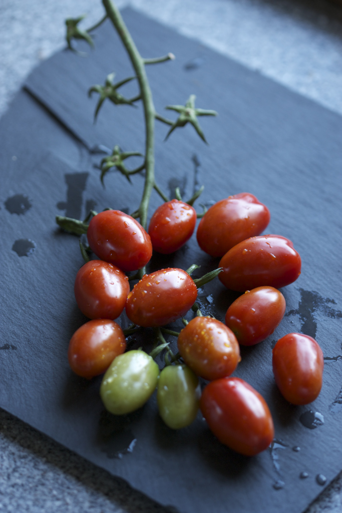 มะเขือเทศฮันนี่บันช์ F1 - Honey Bunch Tomato F1