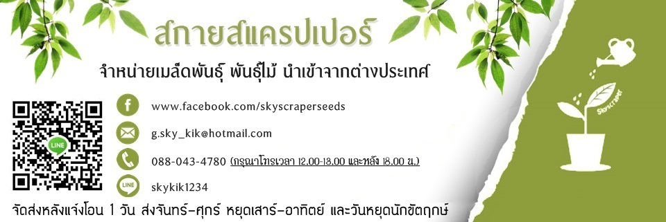 Skyscraper : Inspired by LnwShop.com