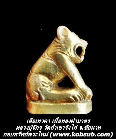 เสือเทวดา เนื้อทองฝาบาตร หลวงปู่จักร วัดถ้ำเขารังไก่
