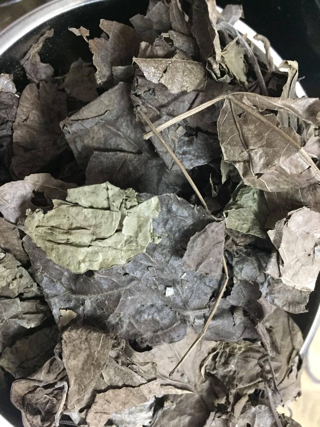 รางจืด ใบรางจืดแห้ง ขนาด 100 กรัม Thunbergia laurifolia Lindl รางจืด ราชายาแก้พิษ สมุนไพรล้างพิษฤทธิ์เย็น