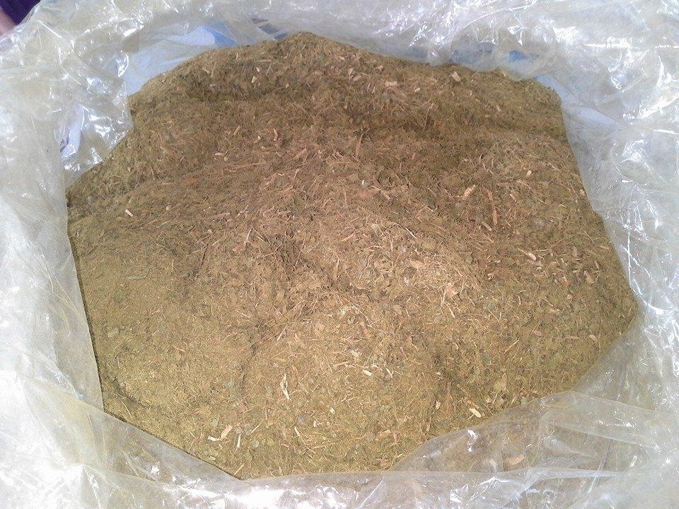 ชาทุเรียนเทศ 15 ซองชา สินค้าคุณภาพ ราคาไม่แพง ชาทุเรียนเทศอบแห้ง ทุเรียนเทศ Organic tea สินค้าออแกร์นิค ผลิตภัณฑ์คุณภาพ รับรองโดยกรมวิชาการเกษตร Graviola soursop tea ชาทุเรียนเทศเหมาะกับผู้มีปัญหาเรื่องมะเร็ง กลิ่นหอม สดชื่น ดื่มง่าย