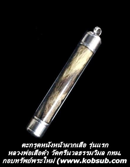 ตะกรุดหนังหน้าผากเสือ รุ่นแรก หลวงพ่อเสือดำ วัดศรีนวลฯ