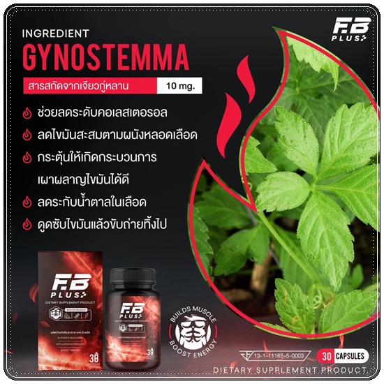 เอฟบีพลัส FB Plus เร่งเบิร์น เร่งเผาผลาญ (ของแท้ ส่งฟรี)