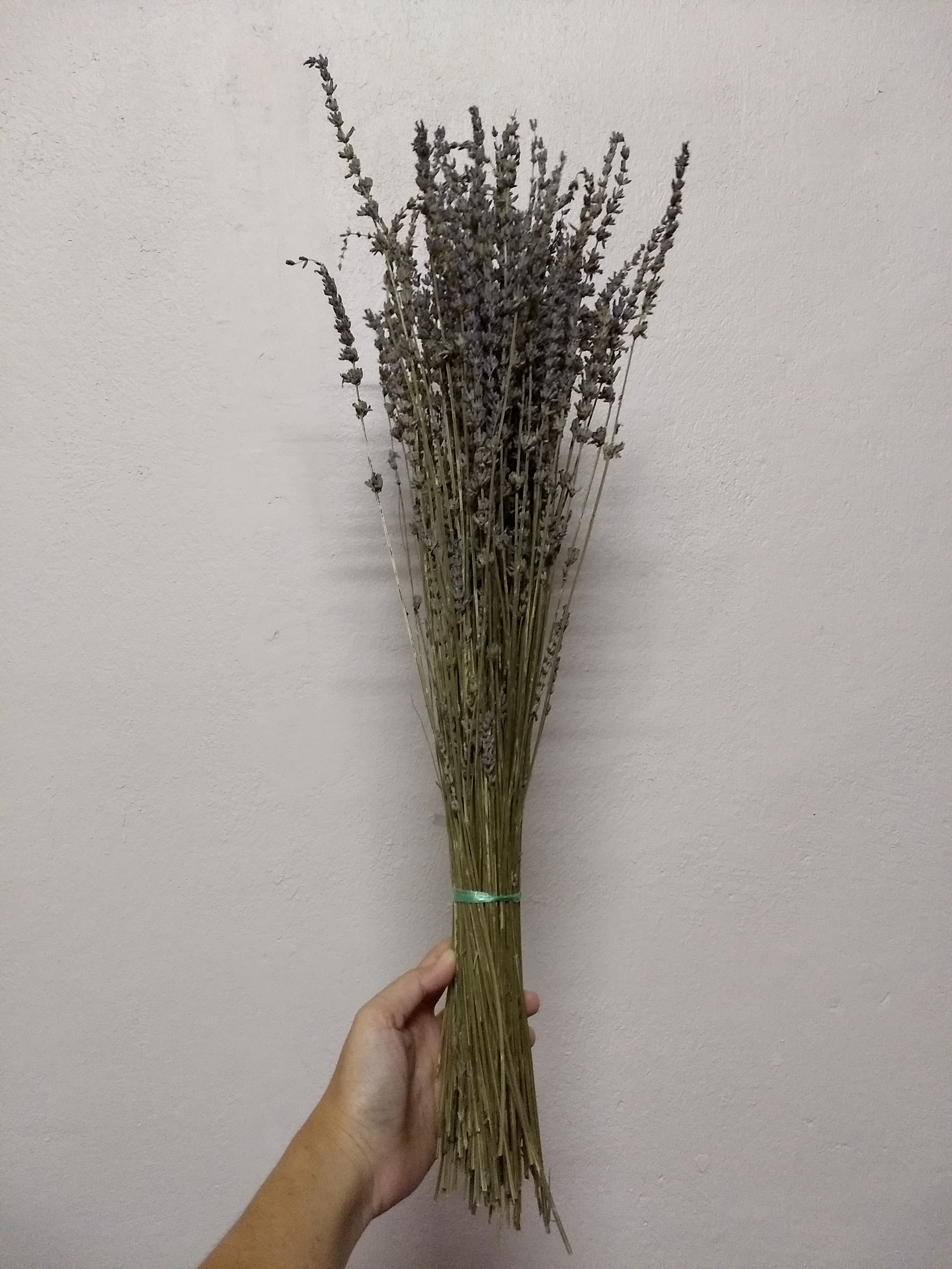 ช่อดอกลาเวนเดอร์ฝรั่งเศสแห้ง - Dried French Lavender 100 ก้าน