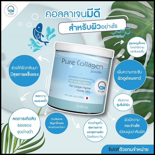 Qtycare pure collagen