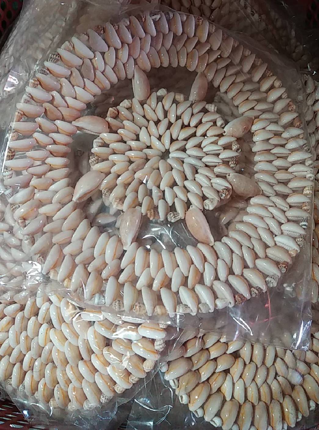 จานรองหม้อเปลือกหอยอันใหญ่ลายกลม