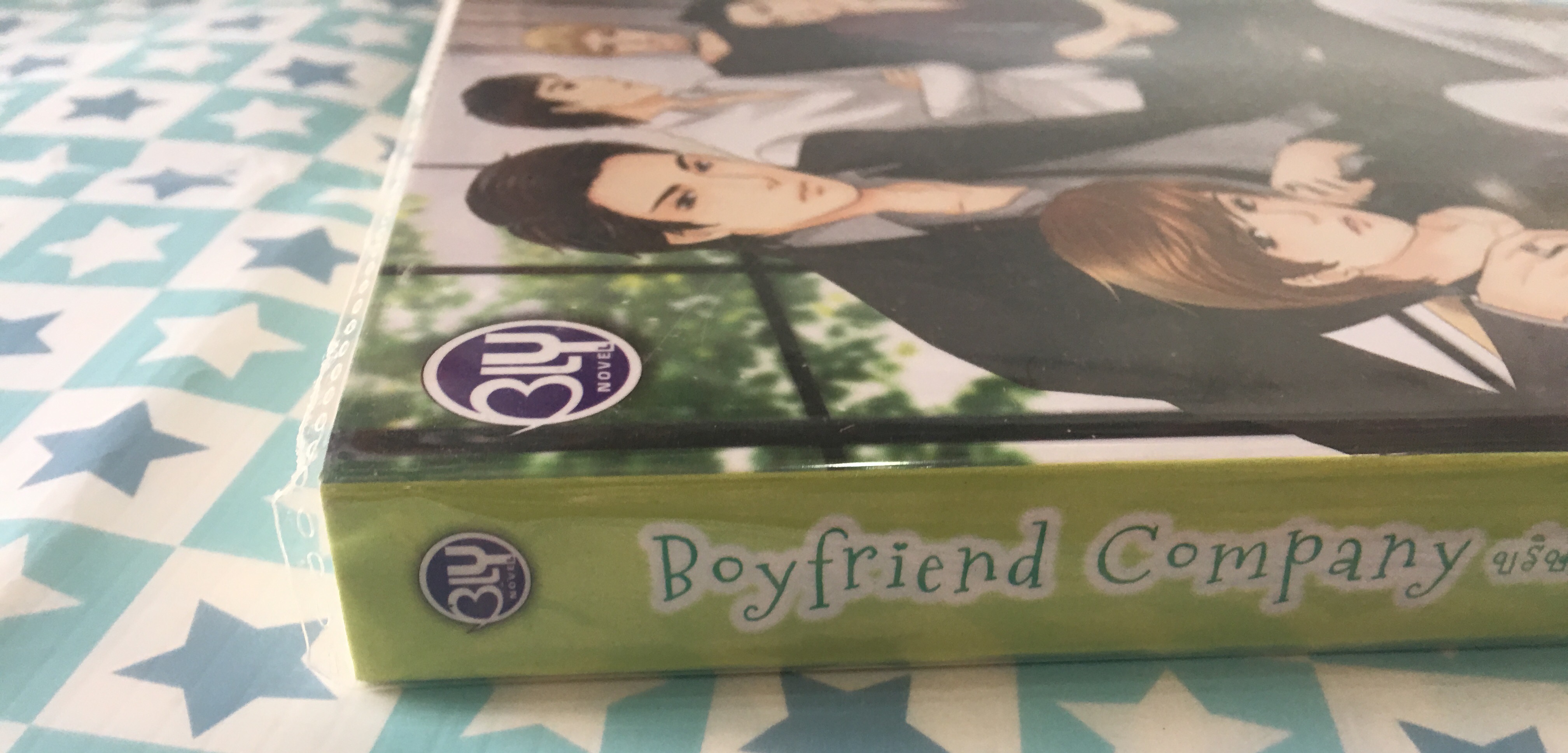 นิยาย boyfriend company มือสอง
