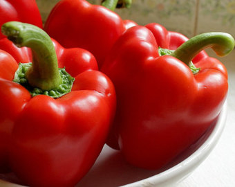 พริกหวานสีแดง - Yolo Wonder L Pepper