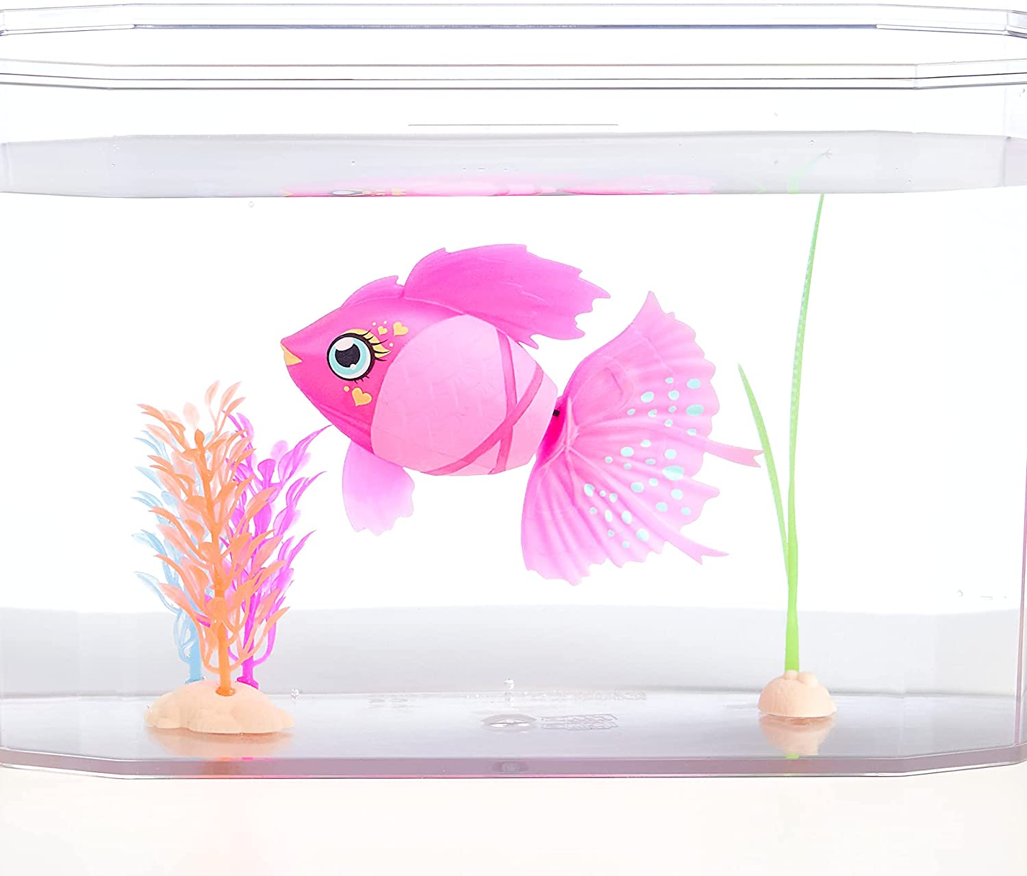 ตู้ปลา มีชีวิตอย่างน่าอัศจรรย์ในน้ำ Little Live Pets - Lil' Dippers Fish Tank: Splasherina ราคา 1790 - บาท