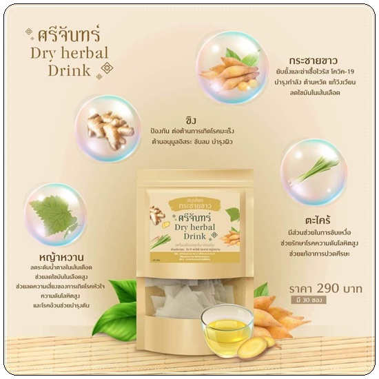 สมุนไพรกระชายขาว ศรีจันทร์ Dry Herbal Drink