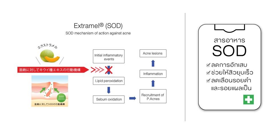 นูทริว่า เอซี ฟอร์ แอคเน่ (Nutriva AC For Acne)