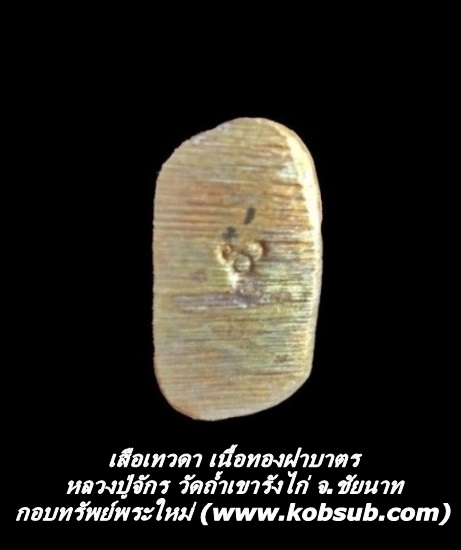 เสือเทวดา เนื้อทองฝาบาตร หลวงปู่จักร วัดถ้ำเขารังไก่
