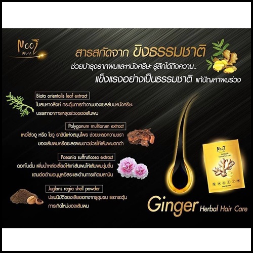 โมอิ จินเจอร์ เฮอร์เบิล แฮร์ Mooi Ginger Herbal Hair Care โมอิสครับขิง