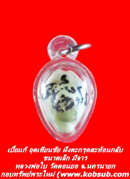 เบี้ยแก้ อุดเทียนชัยฝังตะกรุดสะท้อนกลับ มีจาร ขนาดเล็ก หลวงพ่อใบ วัดดอนยอ