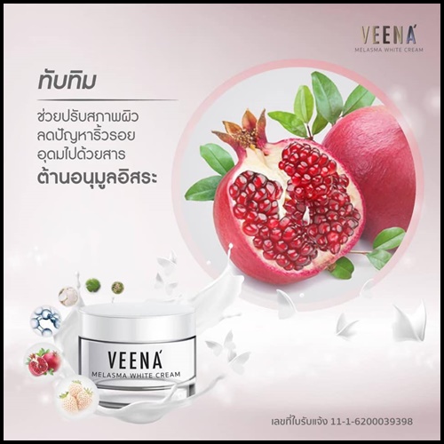 วีน่า เมลาสมา ไวท์ ครีม VEENA Melasma White Cream