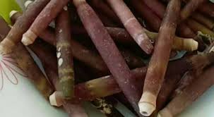 เปลือกหอยเม่นขนชั่งกิโล