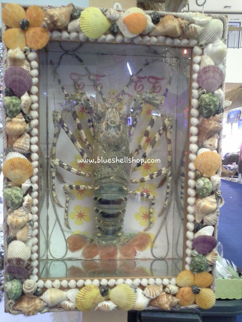 กุ้งมังกรแขวนผนังตัวเดียว