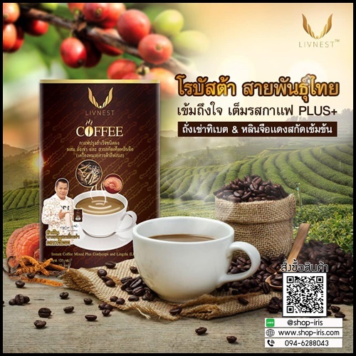 กาแฟถั่งเช่า ลิฟเนส Livnest Coffee