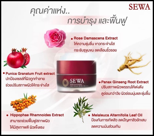 เซวา ครีมบำรุงผิวหน้า SEWA ROSE WHITENING DAY CREAM
