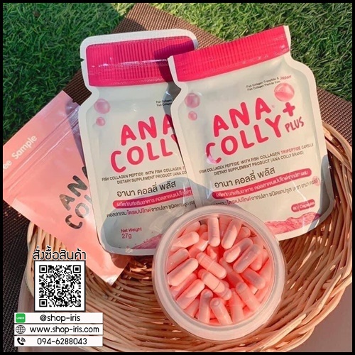 อานา คอลลี่ พลัส Ana Colly Plus